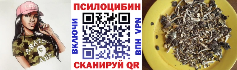 Псилоцибиновые грибы прущие грибы  Купить где  Ставрополь 