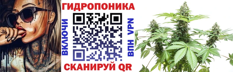 Канабис VHQ  Купить  Ставрополь 